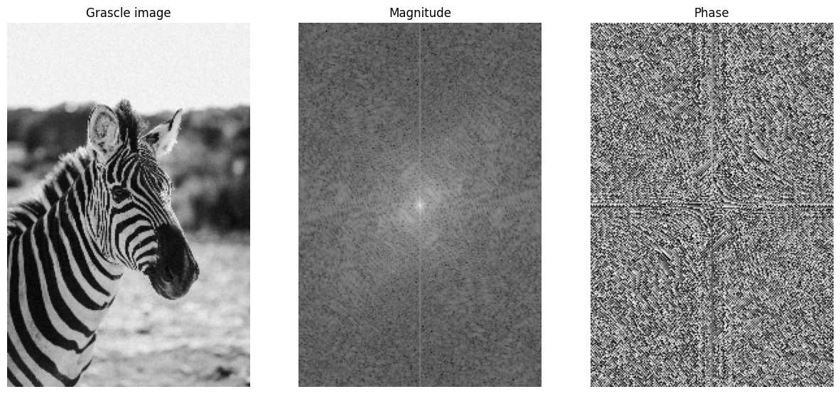 The magnitude plot represents the strength of frequency component, phase plot represents the relative change in frequency